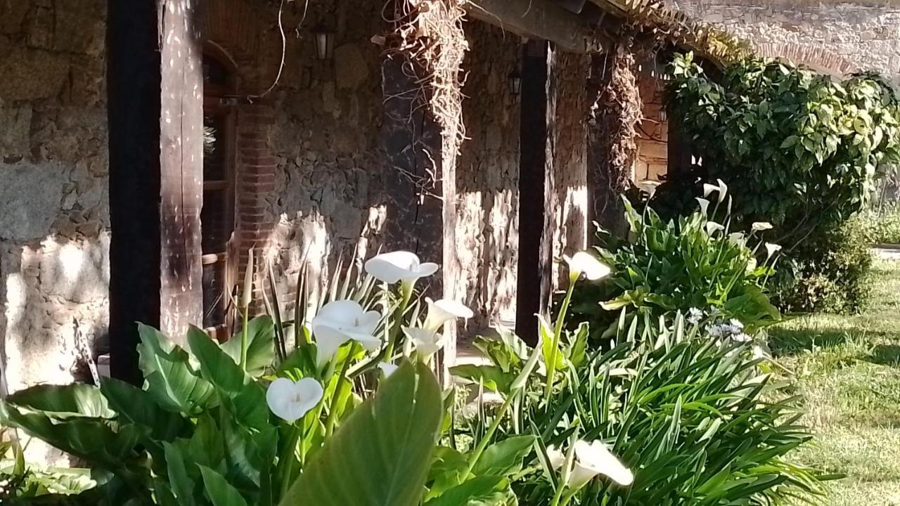 Romanyá de la Selva Casa Rural El Refugi Platja D'Aro 4 מראה חיצוני תמונה